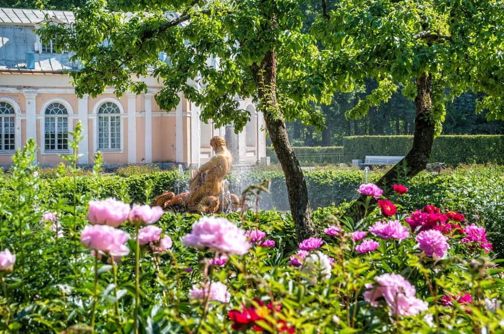 Экскурсии в Петергоф из Петербурга - 6