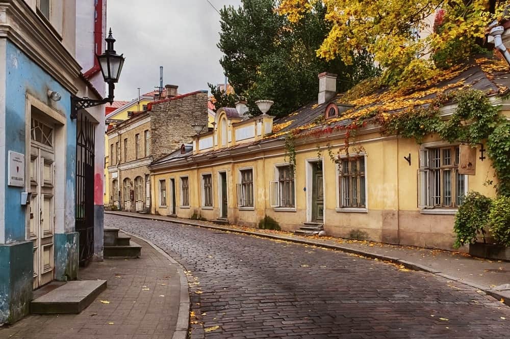 Автобусный тур из Санкт-Петербурга в Выборг - 6