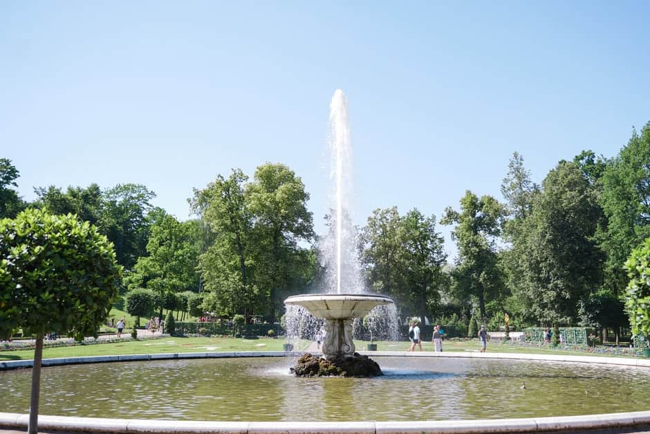 Экскурсия в Петергоф на метеоре - 4