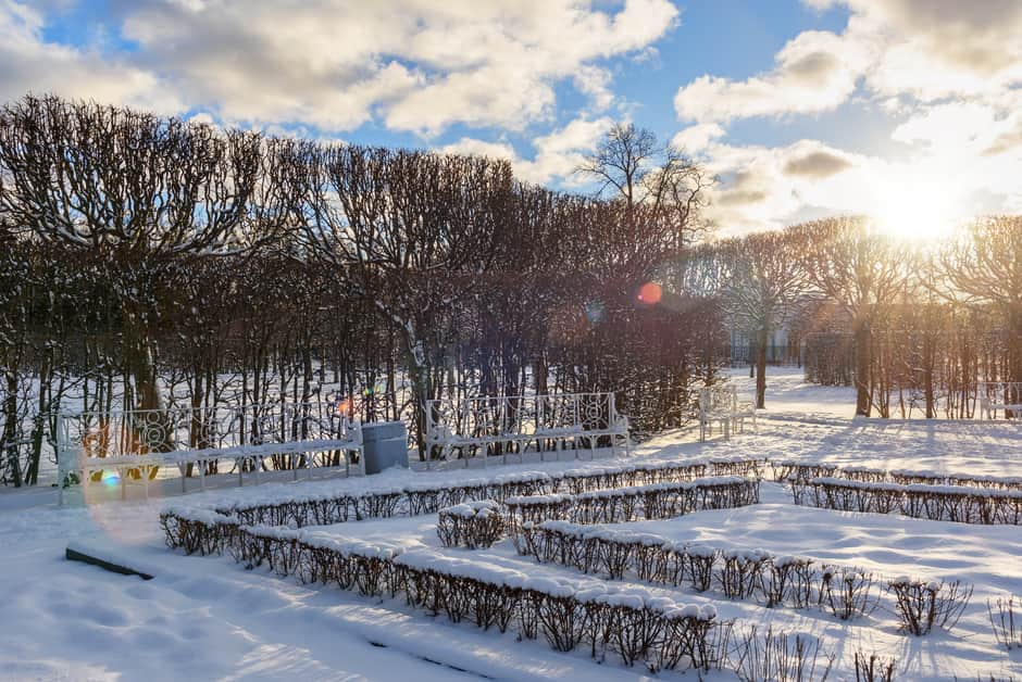 Экскурсия в Царское село с посещением Лицея и Янтарной комнаты - 5