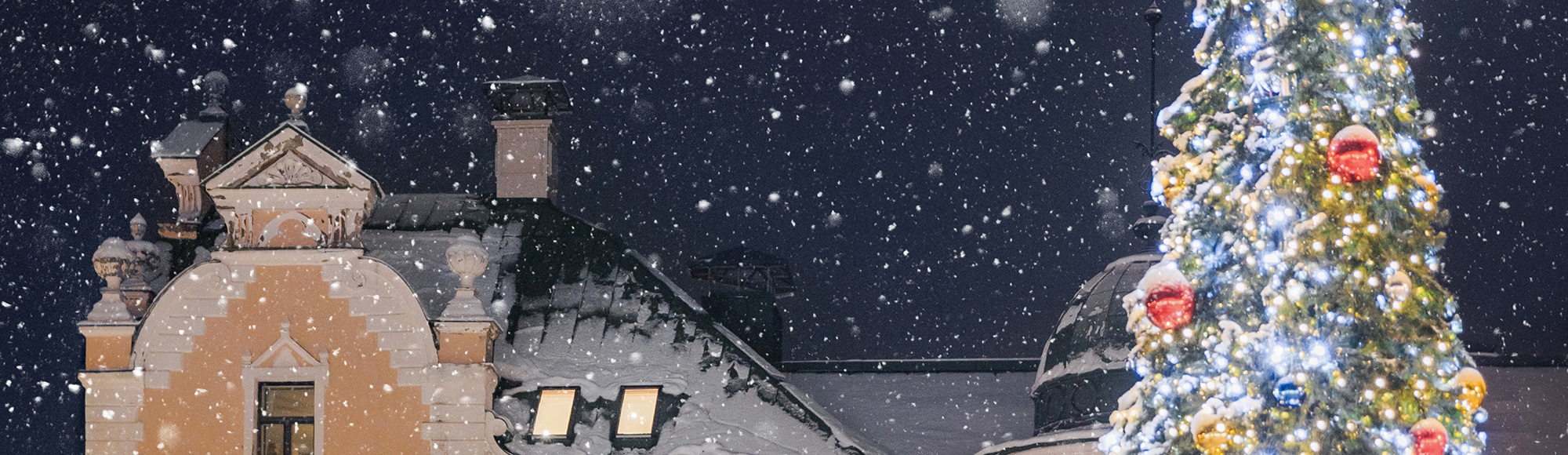 Рождественский Выборг