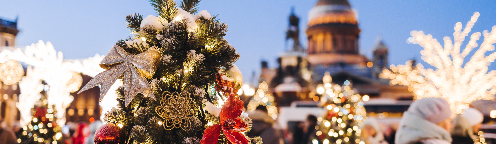 Ожидание Рождества в Петербурге с концертом органной музыки