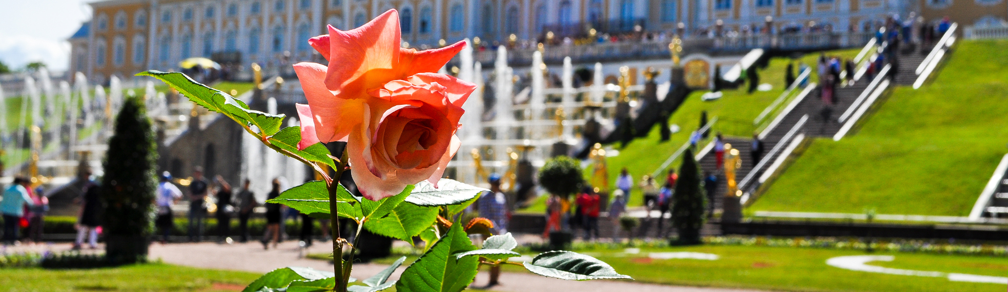 Праздник открытия фонтанов в Петергофе