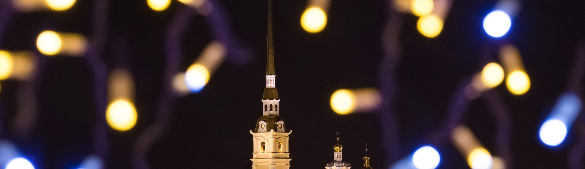 Новогодняя экскурсия по Неве